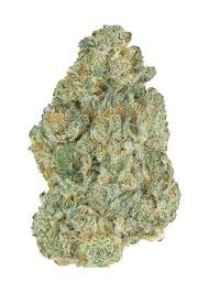 DRIP DROP THCA HEMP FLOWER